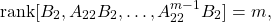 \[{\rm rank}[B_2,A_{22}B_2,…,A_{22}^{m-1}B_2]=m,\]