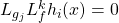 L_{g_j}L_f^k h_i (x)=0