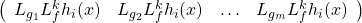 \[\left(\begin{array}{cccc}L_{g_1}L_f^kh_i(x)& L_{g_2}L_f^kh_i(x)& \ldots & L_{g_m}L_f^kh_i(x)\end{array}\right)\]